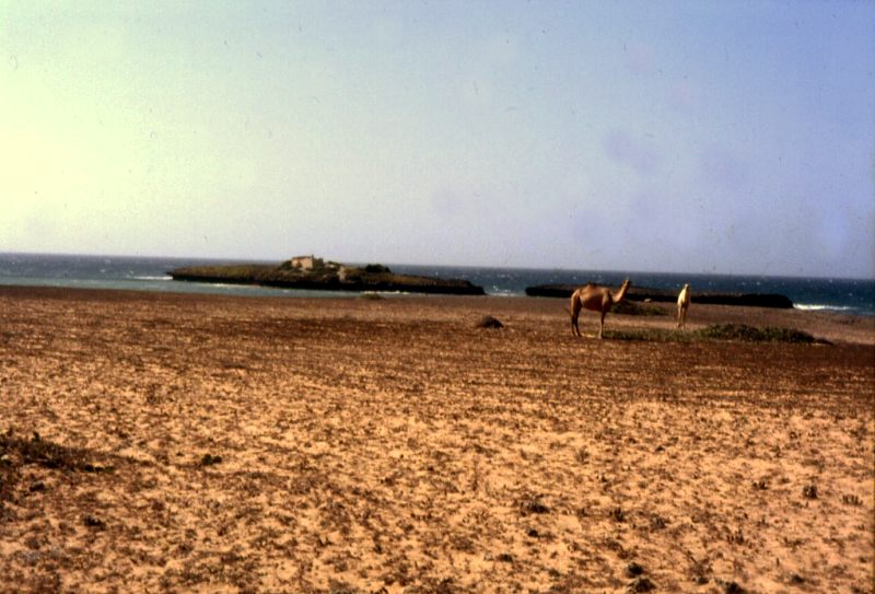 vor Moschee-Bucht