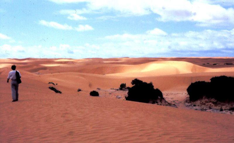 Sanddünen bei Merka